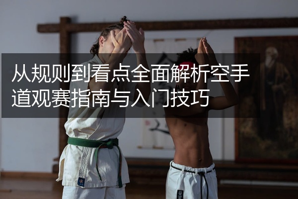 从规则到看点全面解析空手道观赛指南与入门技巧