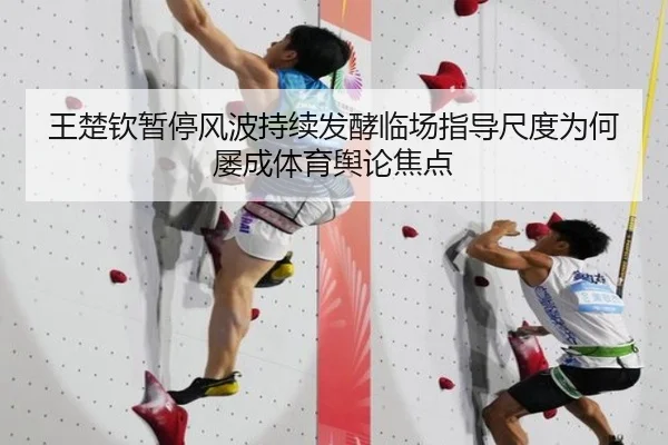 王楚钦暂停风波持续发酵临场指导尺度为何屡成体育舆论焦点