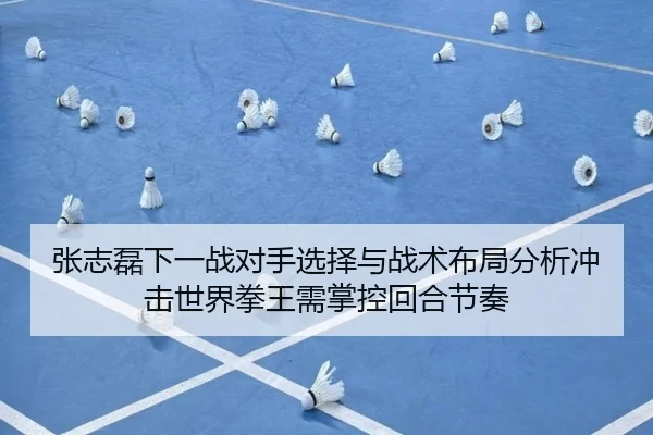 张志磊下一战对手选择与战术布局分析冲击世界拳王需掌控回合节奏